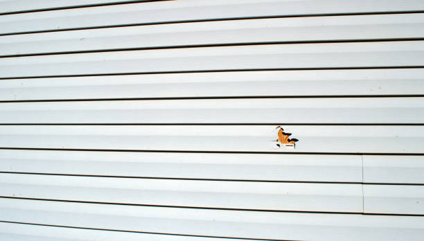 Best Aluminum Siding Installation  in Middlesex, NJ